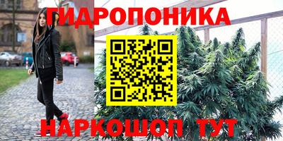 ешки Краснодар