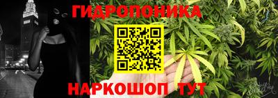 ешки Краснодар