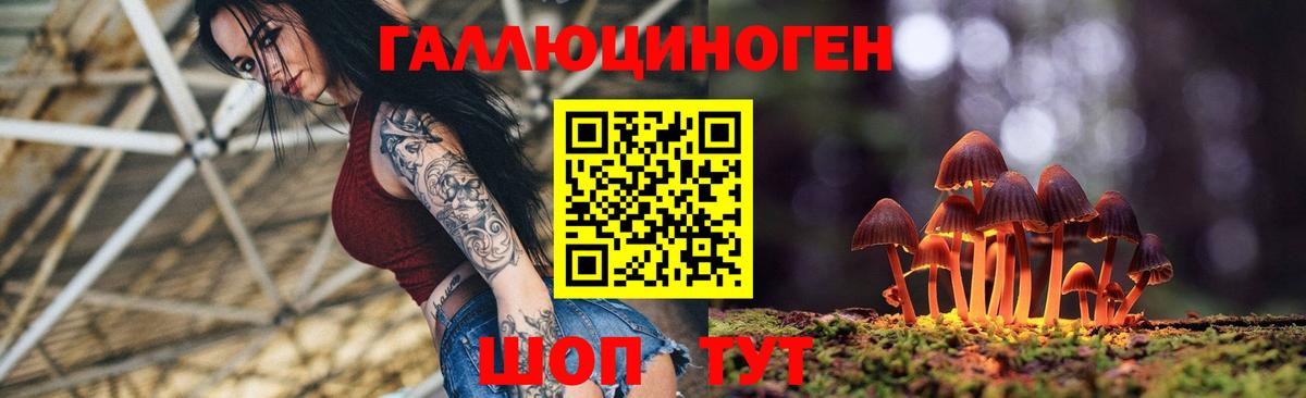 Киров  Псилоцибиновые грибы Psilocybine cubensis  Вход с VPN 